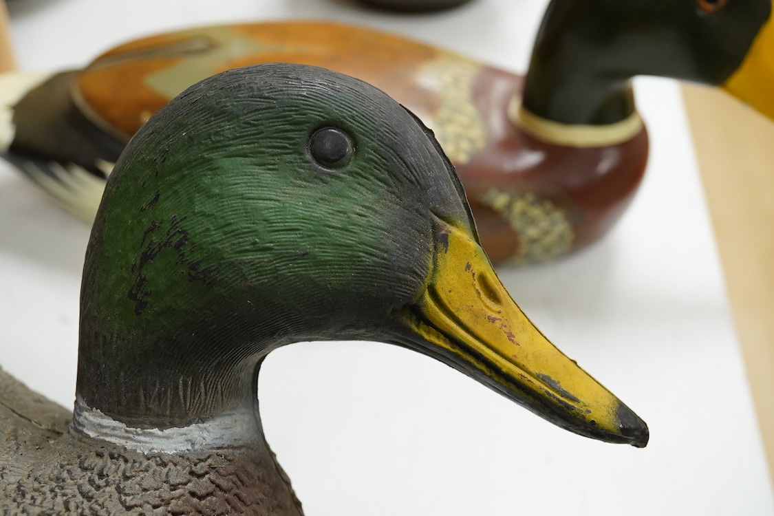 A decoy duck-42cm long, with a carved and painted wooden model of a duck. (2).